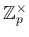 $ \mathbb{Z}_p^\times$