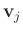 $ \mathbf{v}_j$