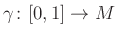 $ \gamma \colon [0,1]\to M$