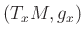 $ (T_x M, g_x)$