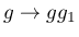 $ g \rightarrow gg_1$