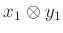 $ x_1\otimes y_1$