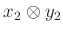 $ x_2\otimes y_2$