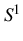 $ S^1$