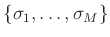 $ \{\sigma_1, \dots, \sigma_M\}$