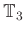 $ \mathbb{T}_3$