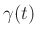 $ \gamma(t)$