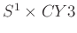 $ S^1\times CY3$