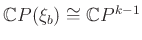 $ {\mathbb{C}}P(\xi _b) \cong {\mathbb{C}}P^{k-1}$