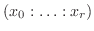 $(x_0: \ldots
: x_r)$
