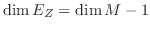 $\dim E_Z=\dim M -1$