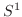 $S^1$