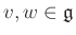 $ v,w\in{\mathfrak{g}}$