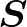 $\bm{S}$