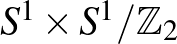$S^1\times S^1/{\mathbb{Z}}_2$