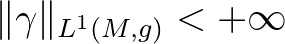 $\Vert\gamma\Vert_{L^1(M,g)}<+\infty$