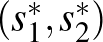 $(s_1^*,s_2^*)$