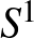 $S^1$