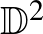 ${\mathbb{D}}^2$