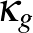 $\kappa_g$