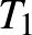 $T_{1}$