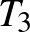 $T_{3}$