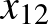 $x_{12}$
