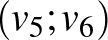 $(v_5;v_6)$