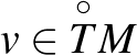 $v\in\overset{\circ}{T}M$