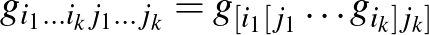 $\displaystyle g_{i_1\dots i_kj_1\dots j_k}=g_{[i_1[j_1}\dots g_{i_k]j_k]}$