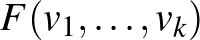 $F(v_1,\dots,v_k)$