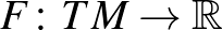 $F\colon TM\rightarrow\mathbb{R}$