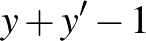 $y+y'-1$