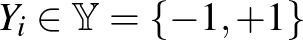 $Y_i \in \mathbb{Y} = \{ -1, +1\}$