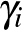 $\gamma_i$